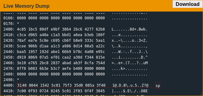 A screenshot of a region of lock memory before calling the enc function