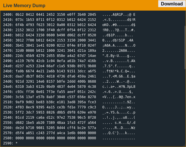 A screenshot of a region of lock memory after calling the enc function